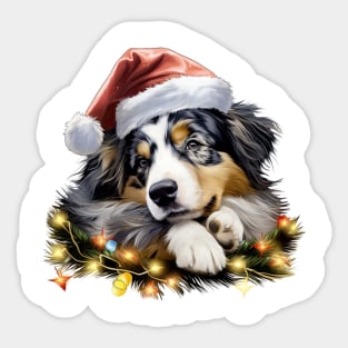 Lazy Australian Shepherd Dog at Christmas Sticker